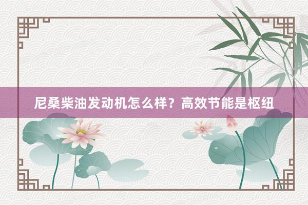 尼桑柴油发动机怎么样？高效节能是枢纽